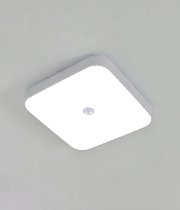 라우스 현관센서등 320 복도조명 아파트현관등 (LED25W) 주광색